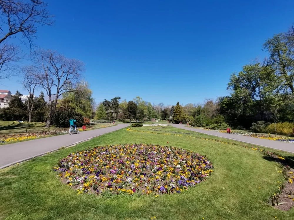 Parcul Botanic din Timişoara FOTO Ş.Both