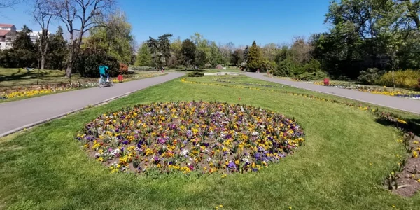 Parcul Botanic