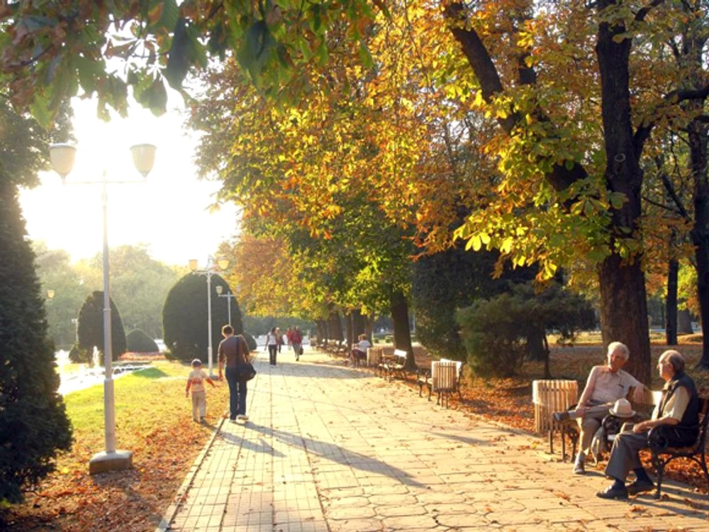 
    Prognoza meteo pentru următoarele două zile anunță că vremea va fi instabilă din punct de vedere termicfoto: Click!  