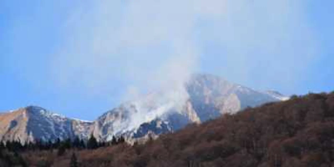 În zonă ard vegetație uscată și jnepeni. Foto arhivă Adevărul Ploiești
