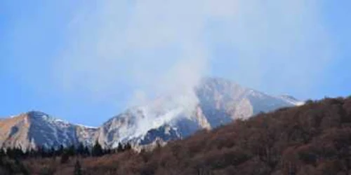 În zonă ard vegetație uscată și jnepeni. Foto arhivă Adevărul Ploiești