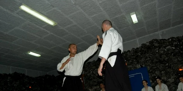 octavian feraru