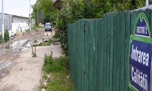 Intrarea Calităţii jpeg