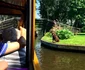 Giethoorn - satul olandez cu canale supranumit Veneţia Nordului Foto Sînziana Ionescu