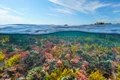 Poluarea din Marea Mediterană, o problemă extrem de gravă. FOTO WWF