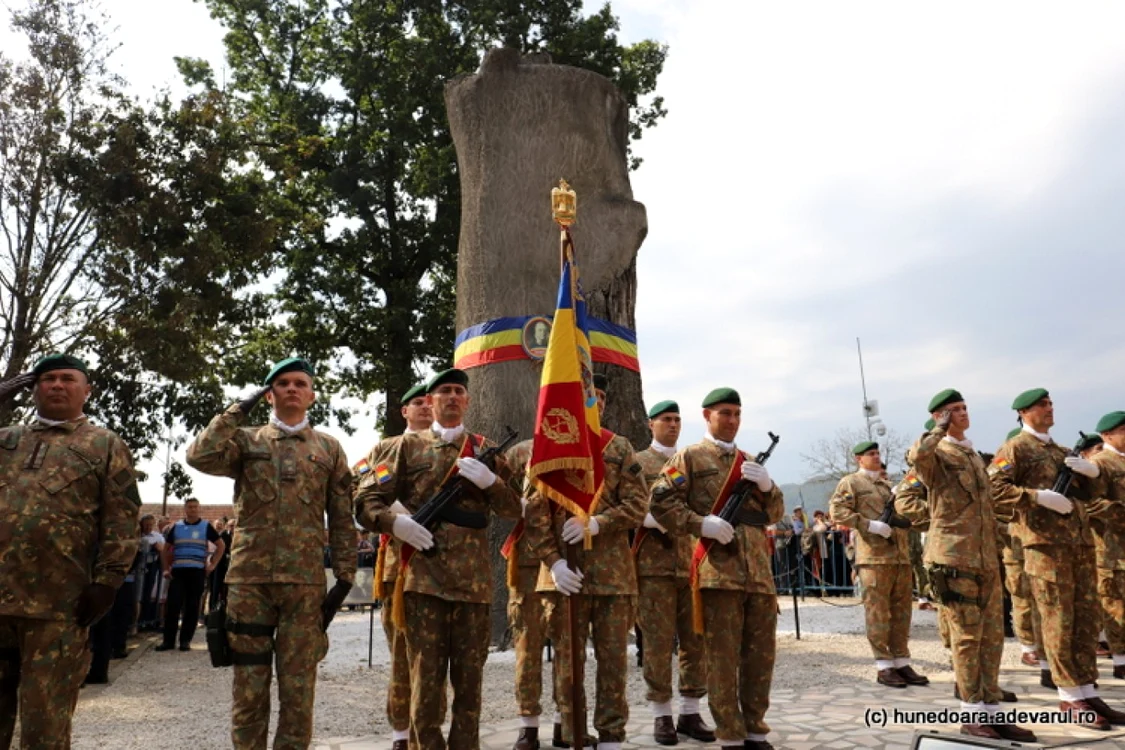 Gorunul lui Horea.Foto: Daniel Guţă. ADEVĂRUL