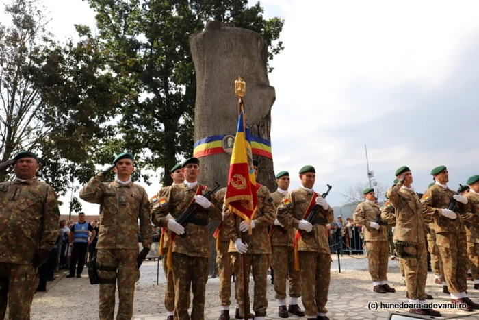 Gorunul lui Horea.Foto: Daniel Guţă. ADEVĂRUL