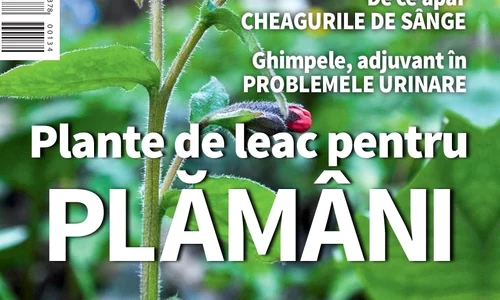 1 01 coperta cs4 page 001 jpg jpeg