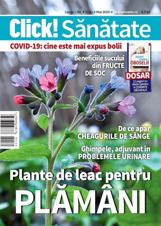 1 01 coperta cs4 page 001 jpg jpeg