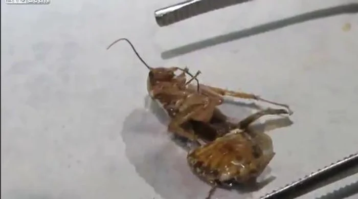Captură video