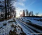 Poiana Omului Ianuarie 2024 Foto Daniel Guță ADEVĂRUL (10) jpg