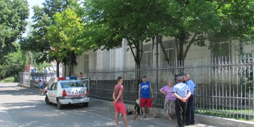 dezinsectie fortata barlad