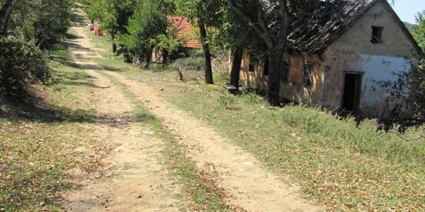 lindenfeld