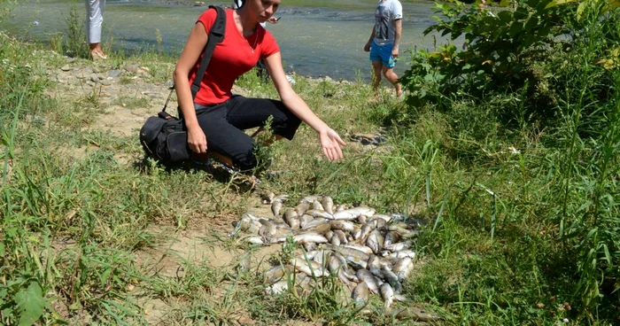 Protecţia mediului, importantă pentru europeni FOTO Adevărul