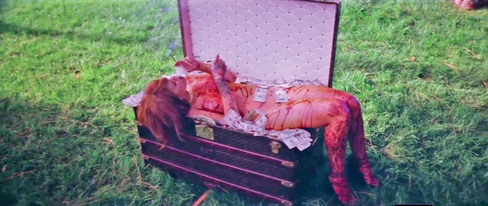 
    Cântăreaţa a şocat întreaga planetă după  ce şi-a regizat singură ultimul videoclip  