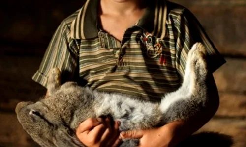 „Oameni și sufletele de lângă”   Expoziție de fotografie de Vlad Dumitrescu jpeg