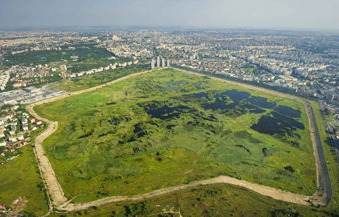 Delta Văcăreşti a devenit arie protejată anul trecut