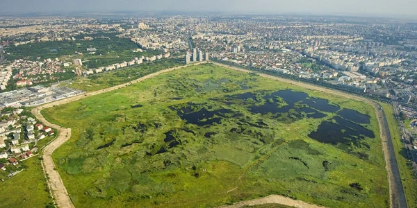 delta vacaresti