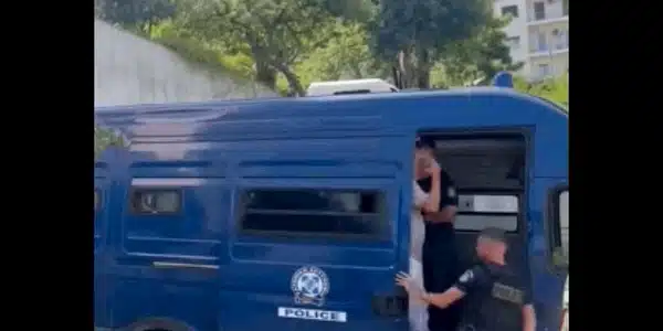 plaha gif gif