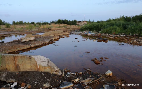 Baia Mare, ruinele combinatului Phoenix Foto Daniel Guță ADEVĂRUL (41) JPG
