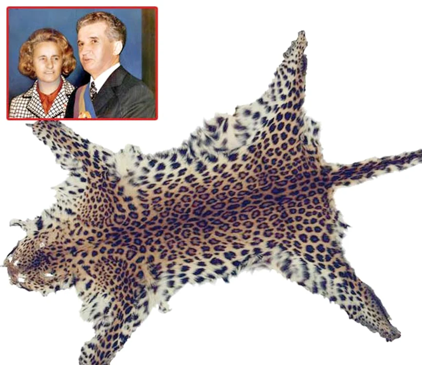 Blană de leopard: preţ de pornire 1.200 euro