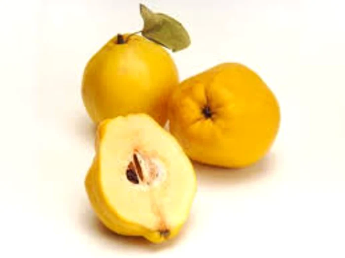 
    Apa de gutui  benefică pentru o piele întinerităSursa foto: Adevărul.ro  