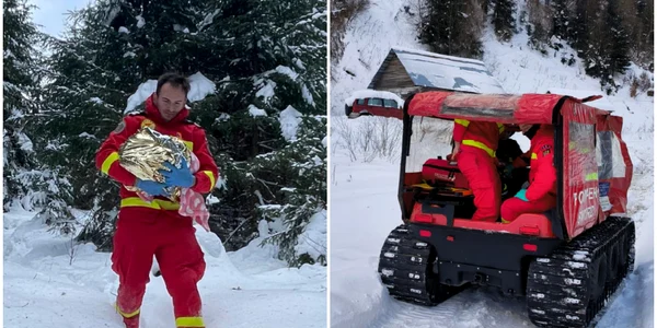 salvare apuseni jpg