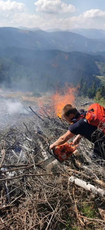 incendiu sureanu pompieri