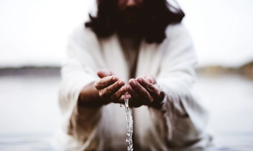 1 boboteaza jpg jpeg