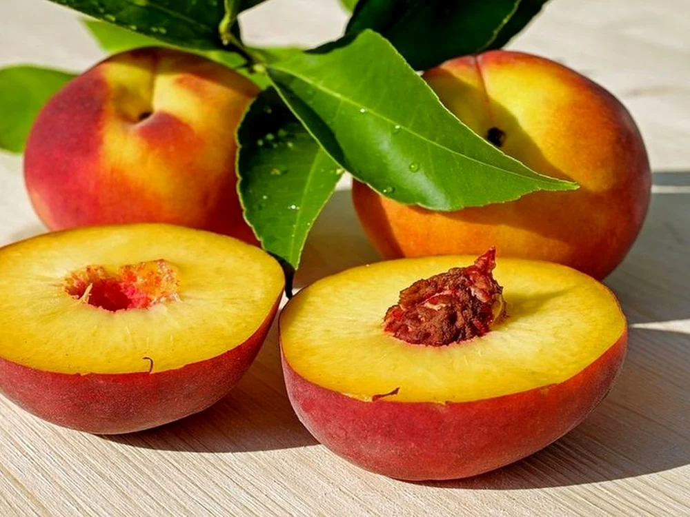 fructe jpeg