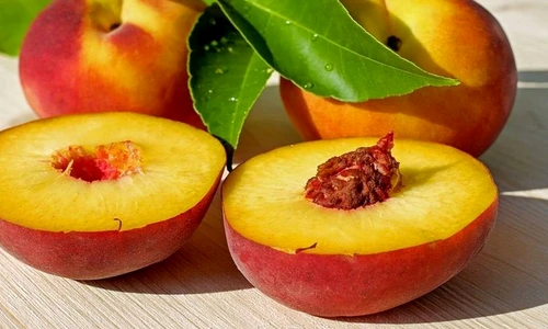 fructe jpeg