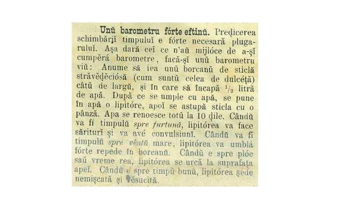 Articolul din ziar cu referirile la barometrul viu. Foto: Arhivele Naţionale Alba