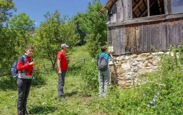 marcare trasee alba