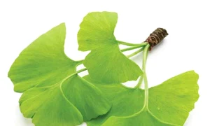 22 23 san 040029763 foto 123ref jpeg