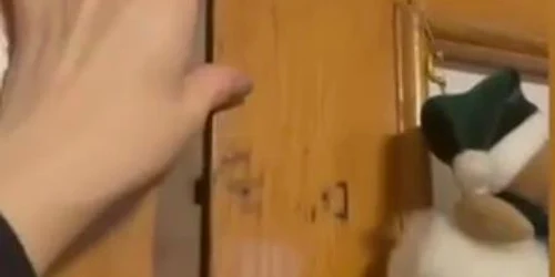 zavor jpg