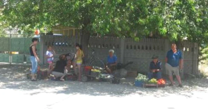 Craiova: Legumicultorii din Dolj pun afacerea pe butuci