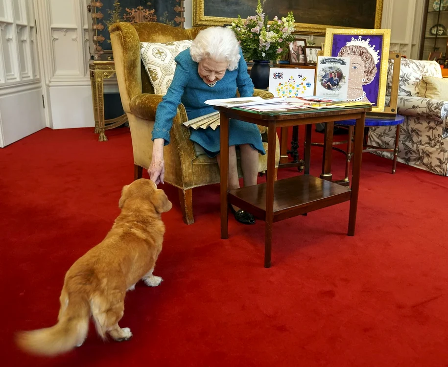 Corgi cainii Reginei (9) jpg