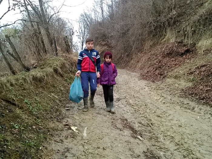 Andrei şi Maria spun cu amărăciune că şi-ar dori un microbuz şcolar care să îi ducă la şcoală în fiecare dimineaţa FOTO Ionuţ Dima