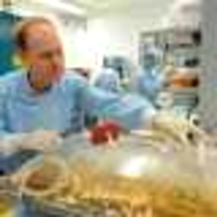 Laboratorul Baxter a finalizat primele loturi de vaccinuri împotriva gripei porcine