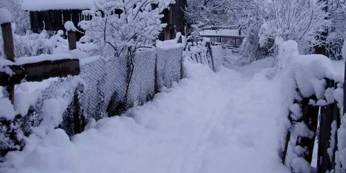 Barbatul gasit inghetat trebuia sa ajunga la casa unui batran, sa-l ingrijeasca