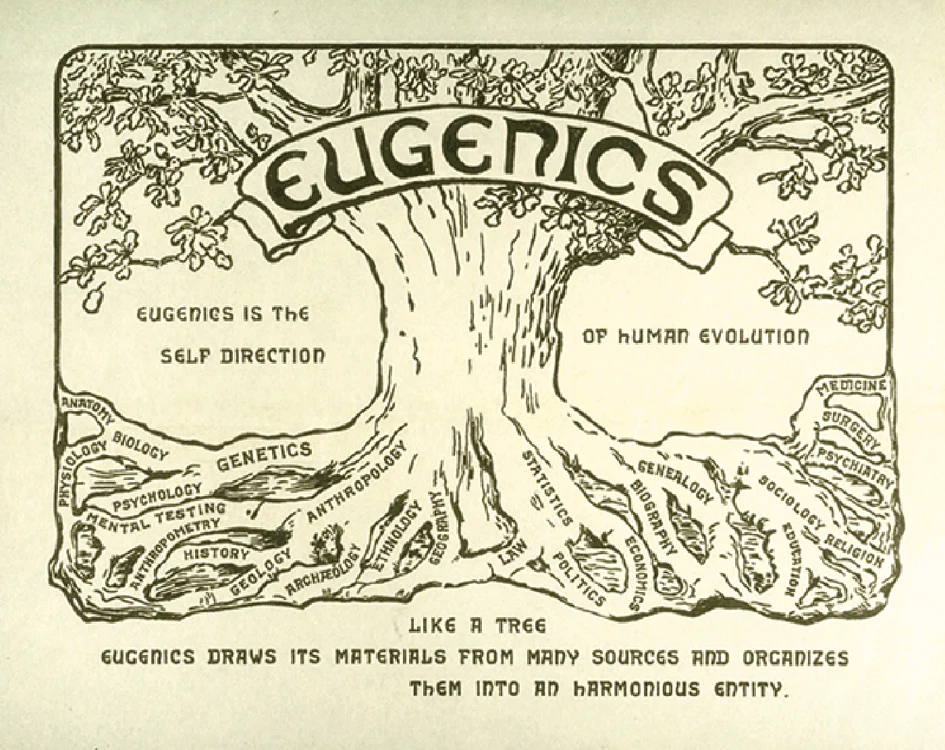 Eugenie evolutie