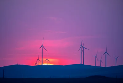 Eoliene în Dobrogea FOTO Shutterstock 