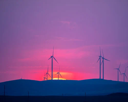 Eoliene în Dobrogea FOTO Shutterstock 