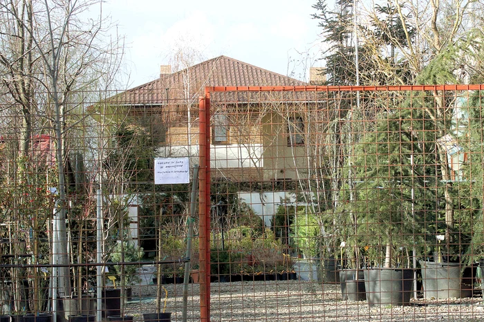 Vila lui Dan Negru este situată într o zonă foarte bună din Capitală  Vara, vedeta tv adoră să grădinărească jpeg