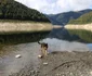 Lacul Gura Apelor din Retezat Foto Daniel Guță (55) JPG