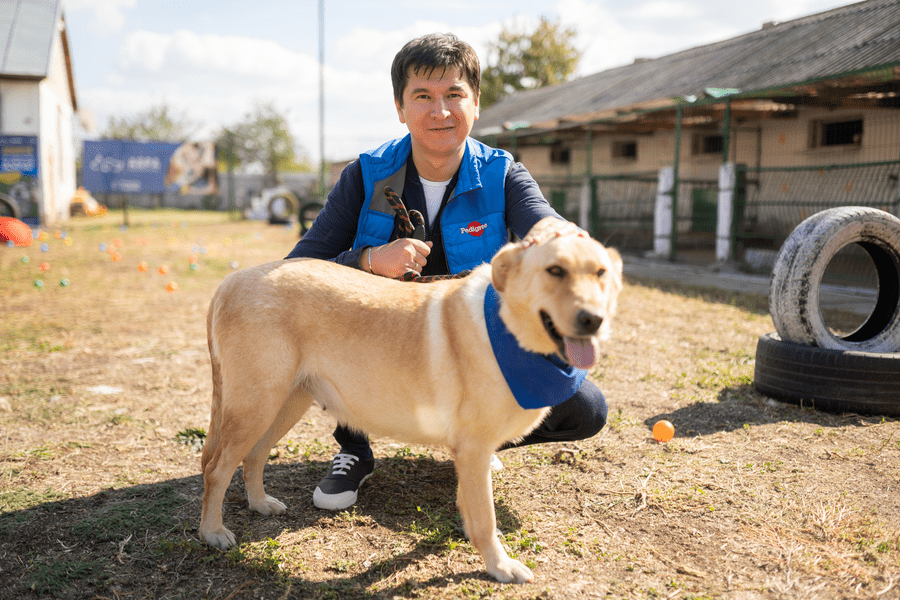 Arman Sutbayev, General Manager Mars Romania, despre implicarea Mars în creșterea numărului de adopții