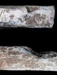 Lingou roman de plumb (© LWL/F. Geldsetzer)