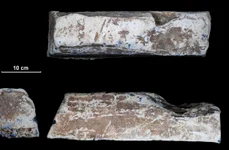 Lingou roman de plumb (© LWL/F. Geldsetzer)