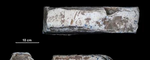 Lingou roman de plumb (© LWL/F. Geldsetzer)