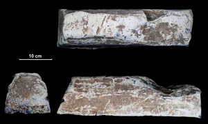 Lingou roman de plumb (© LWL/F. Geldsetzer)